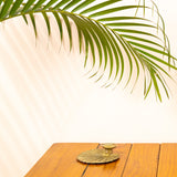 Dhokra Lotus Leaf Candle Stand